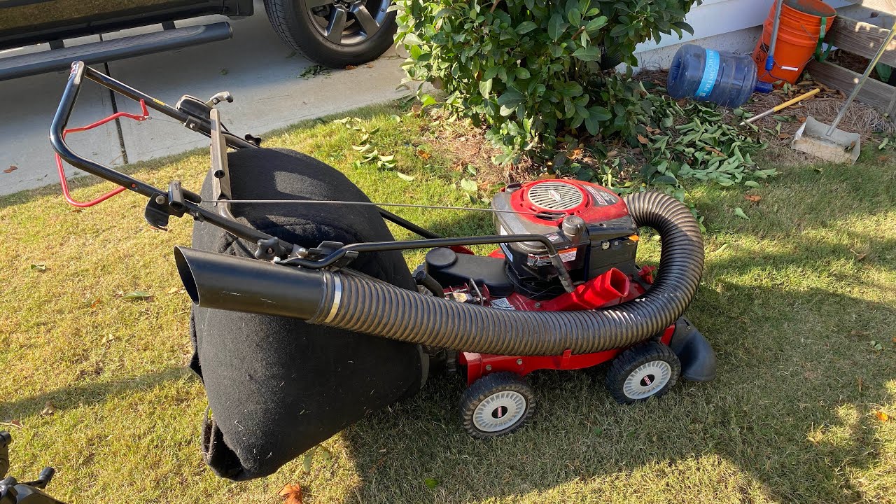 Vacuuming hedge clippings with the Craftsman Leaf Vac