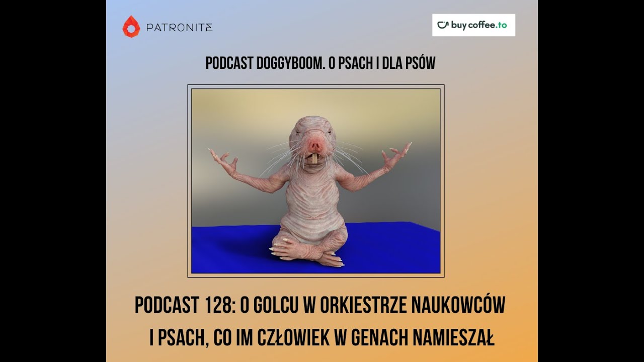 Podcast 128: O golcu w orkiestrze naukowców i psach, co im człowiek w genach namieszał