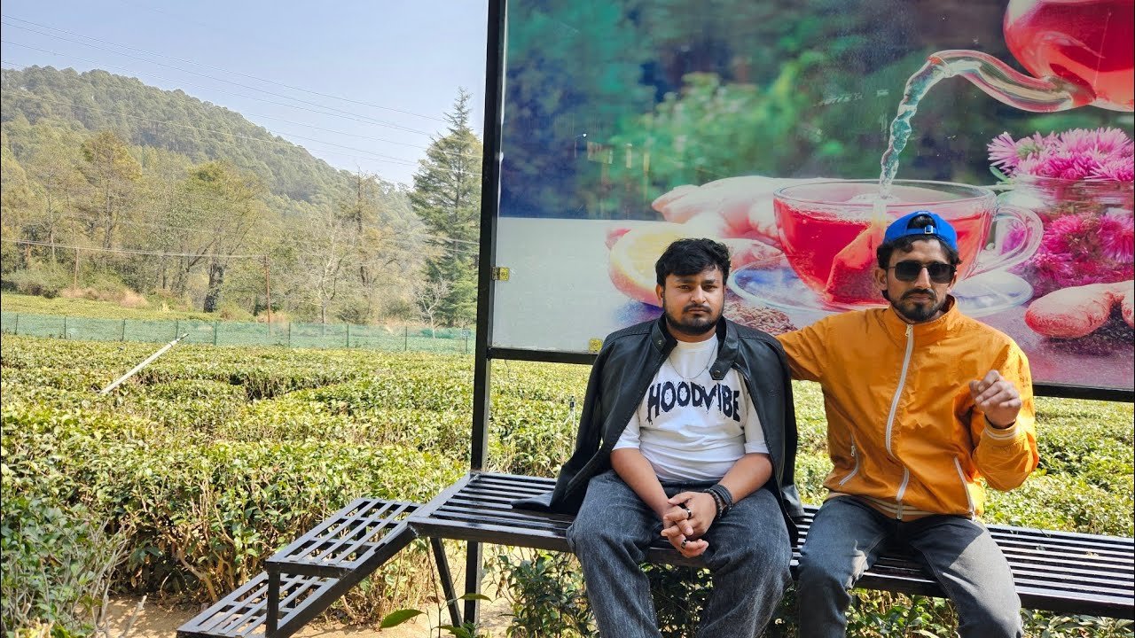 आज हम लोग आए हैं जंगल में घूमने के लिए 