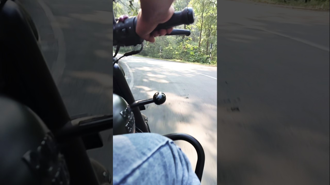 Jungle Ride on Royal Enfield | Exploring Dang Forest, Gujarat 🌿🏍️