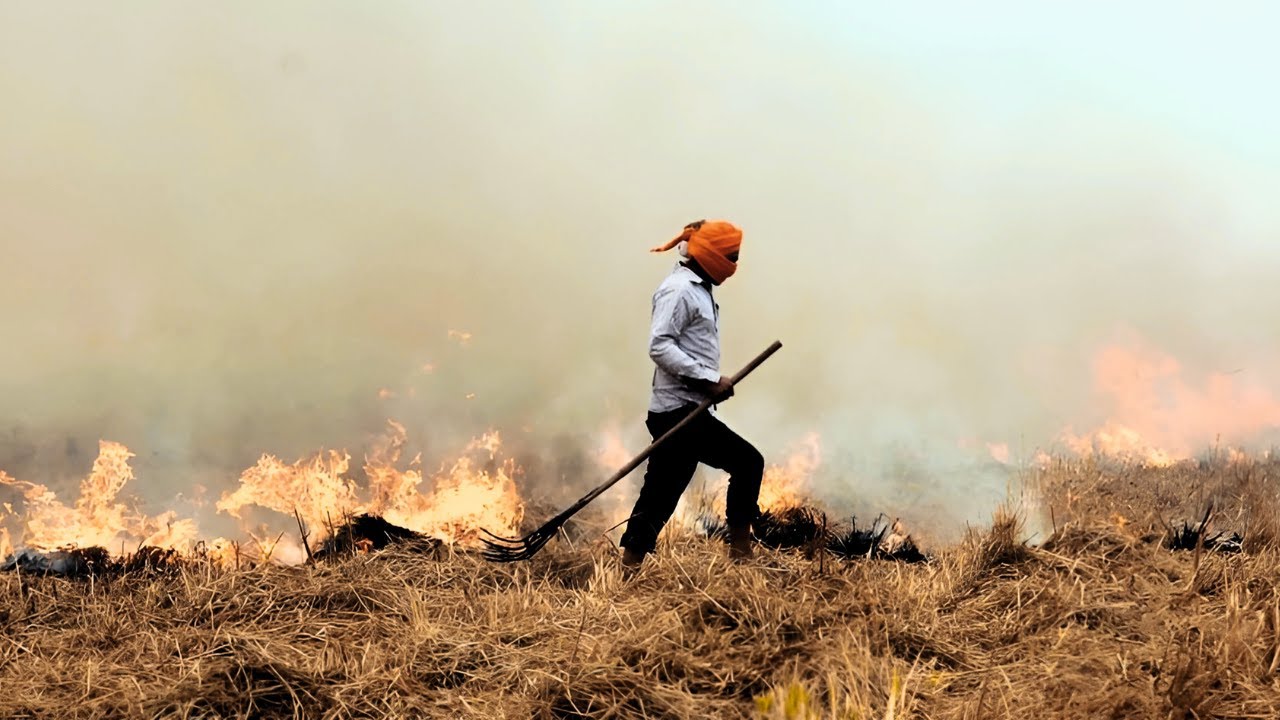 What Will Happen to Delhi if Stubble Burning Continues in Haryana and Punjab? | ClearIAS