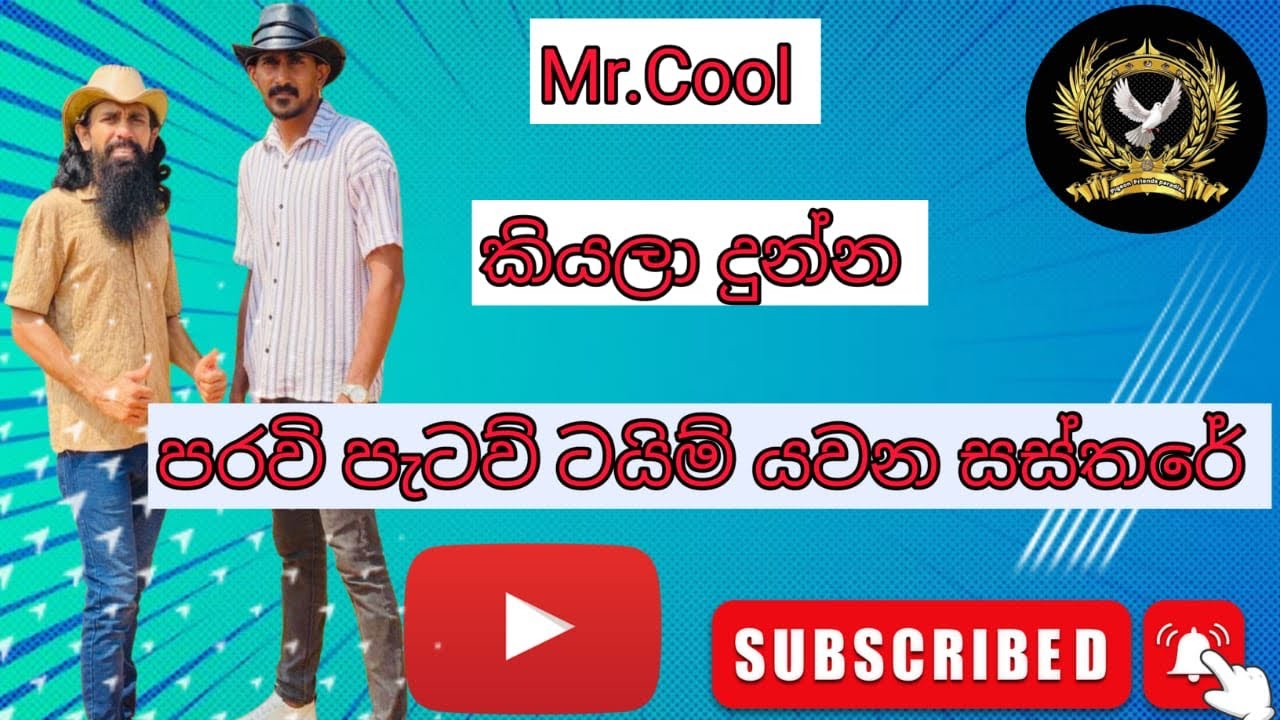 ලග එන ටුලමන්ට් වල වැඩ පෙන්වන්න පරවි පැටව් මෙහෙම ට්‍රෙනින් කරන්න ❤️🕊