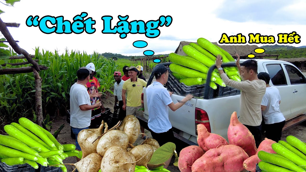 Đông Paulo || Khách Thành Phố 