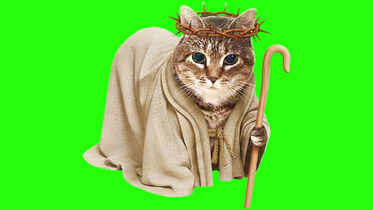 OIIA OIIA JESUS Spinning CAT