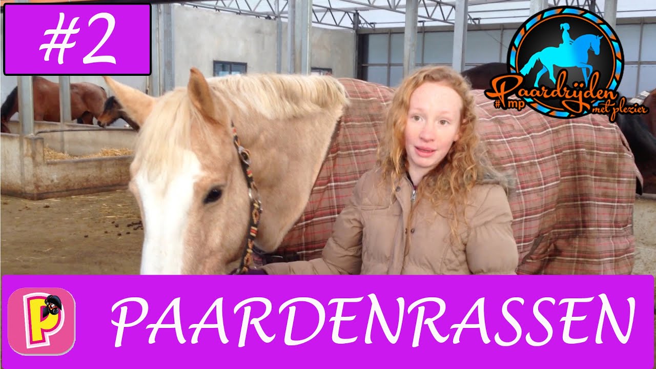 Paardrijden - Verschillende paardenrassen