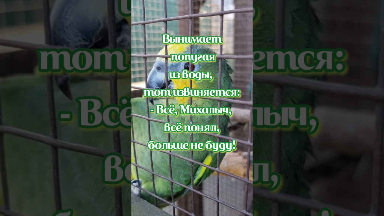 23 декабря 2021 г.
