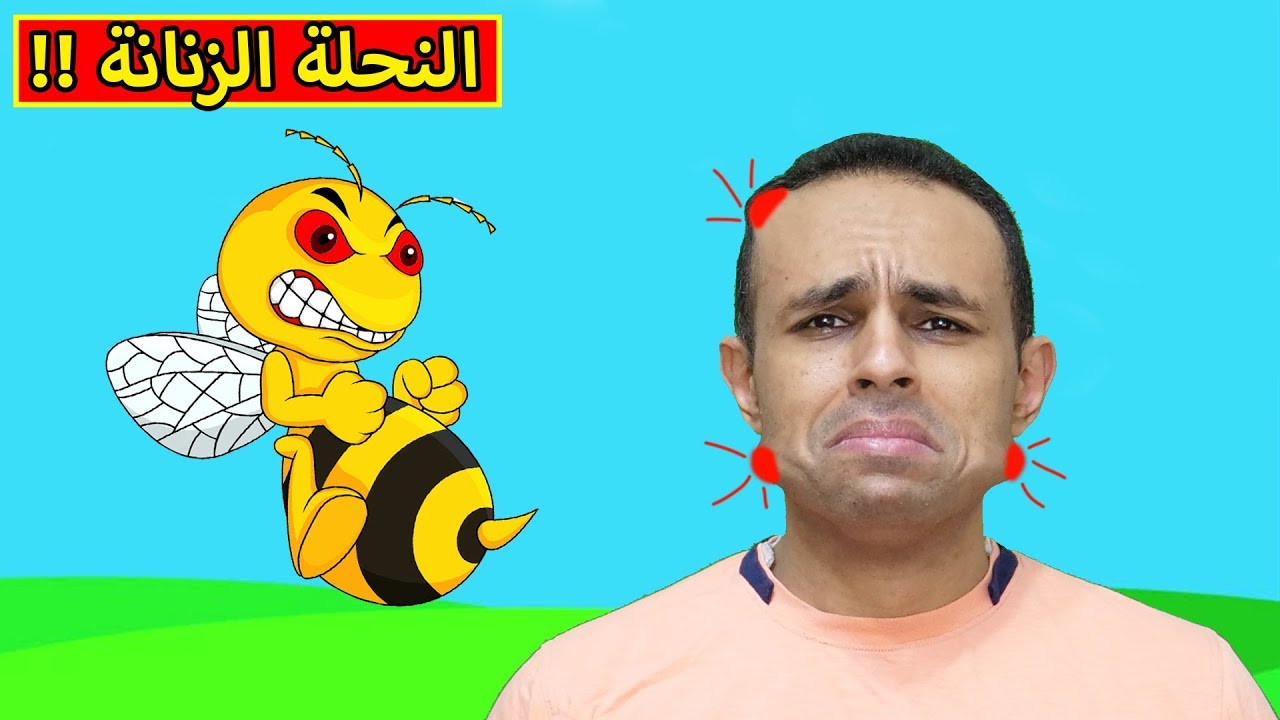 النحلة الزنانة | Slap The Fly !! 🐝😂