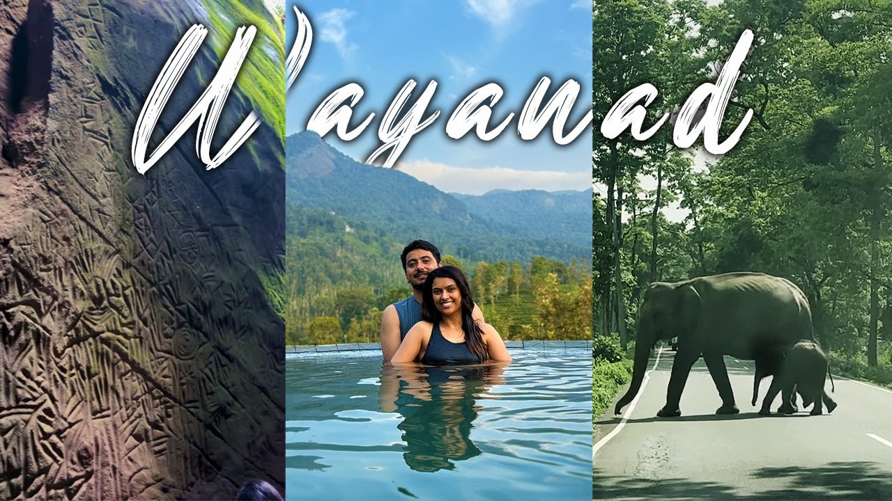 Bangalore to Wayanad Road Trip | 4-Day Itinerary | Elephant crossing | May2025 | Travel & Stay Guide
