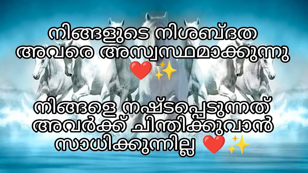 നിങ്ങളുടെ വ്യക്തി ഇപ്പോൾ നിങ്ങളെ അവർക്ക് നഷ്ടപ്പെടുമോ എന്നുള്ള ഭയത്തിലാണ്/ They Chasing You ❤️✨