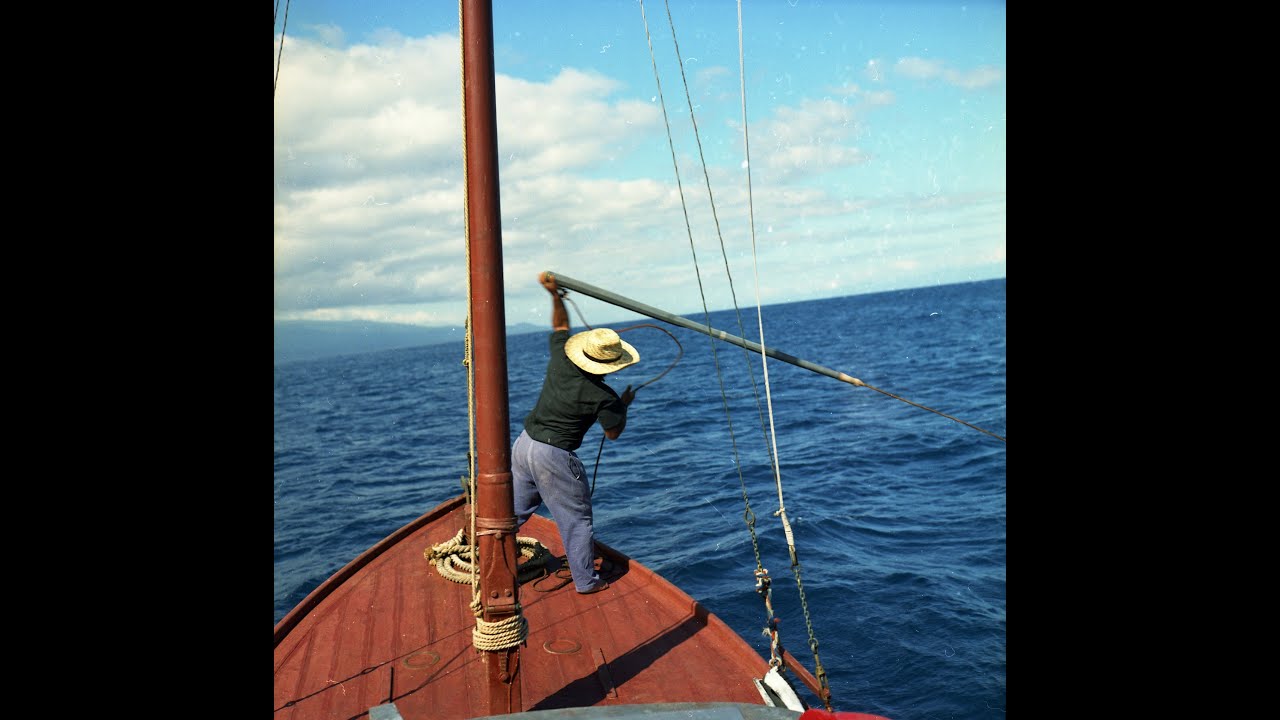 Whaling in the Azores 1966