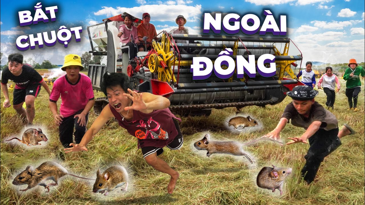 𝐓𝐨𝐧𝐲 | Dẫn Team Đi Cắt Lúa Bắt Chuột 🐭 𝐑𝐚𝐭 𝐇𝐮𝐧𝐭𝐢𝐧𝐠