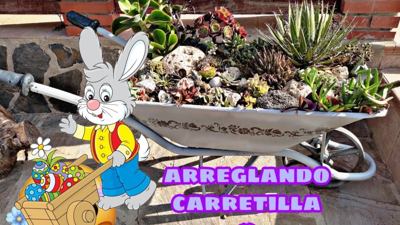 plantando suculentas  en una carretilla y hacer sus  pomos