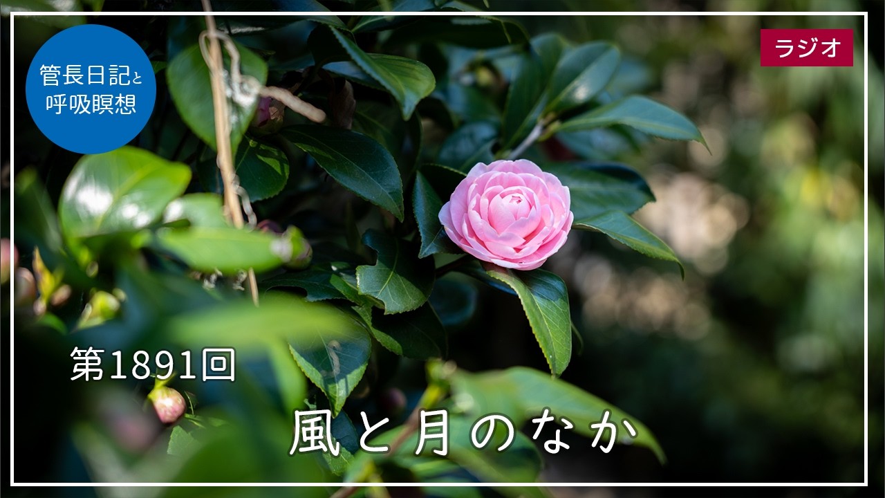 第1891回「風と月のなか」2026/3/12【毎日の管長日記と呼吸瞑想】｜ 臨済宗円覚寺派管長 横田南嶺老師