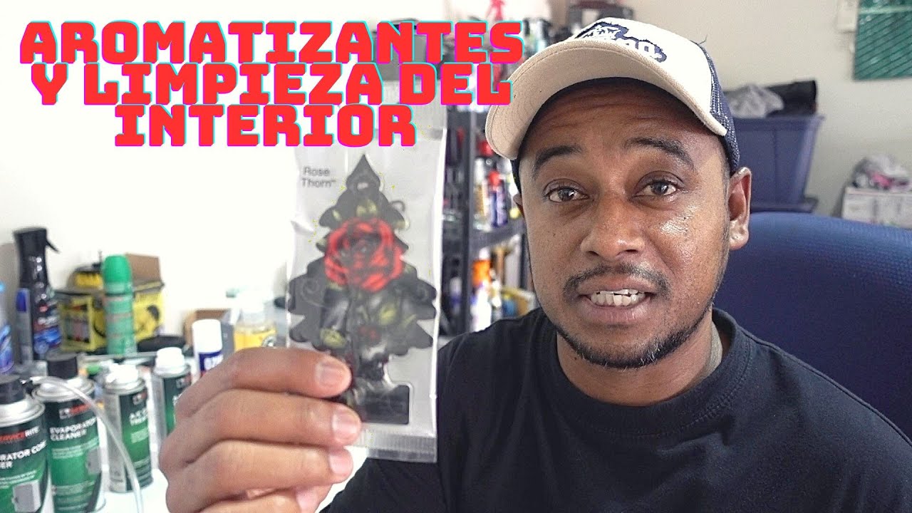 Que Aromatizantes usar en el Interior del Auto