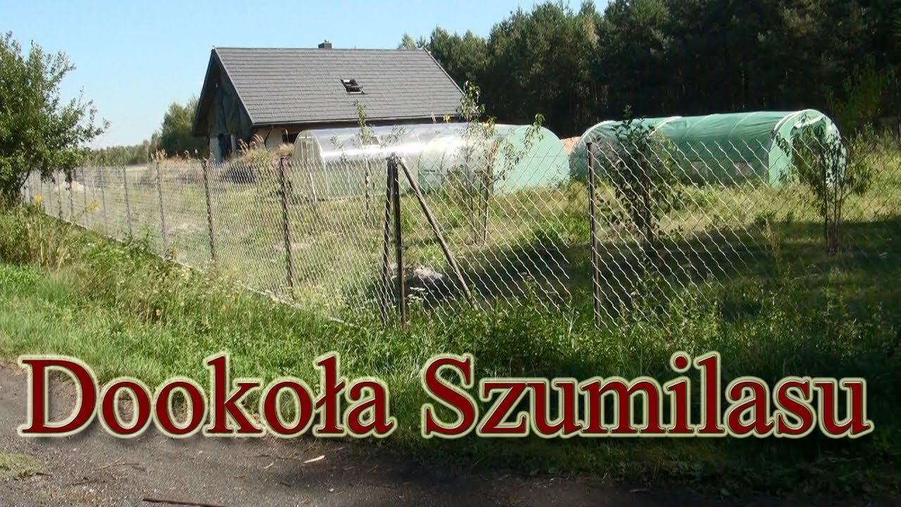 Dookoła Szumilasu - spacer po najbliższych terenach