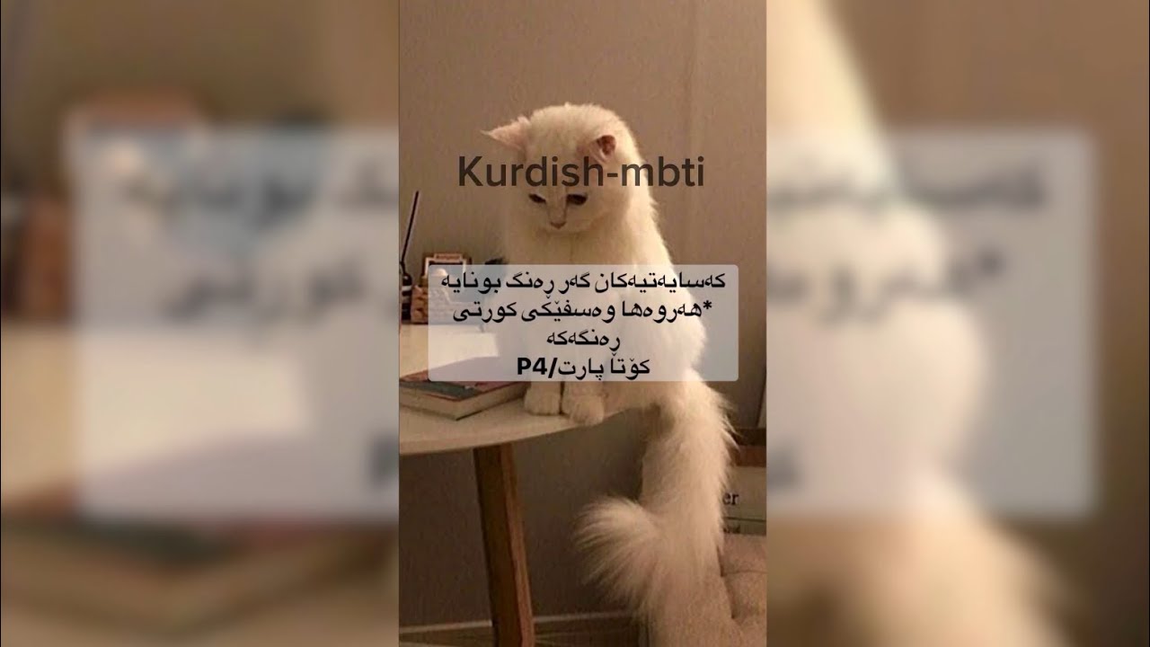 کەسایەتیەکان گەر ڕەنگ بونایە#kurdishmbti