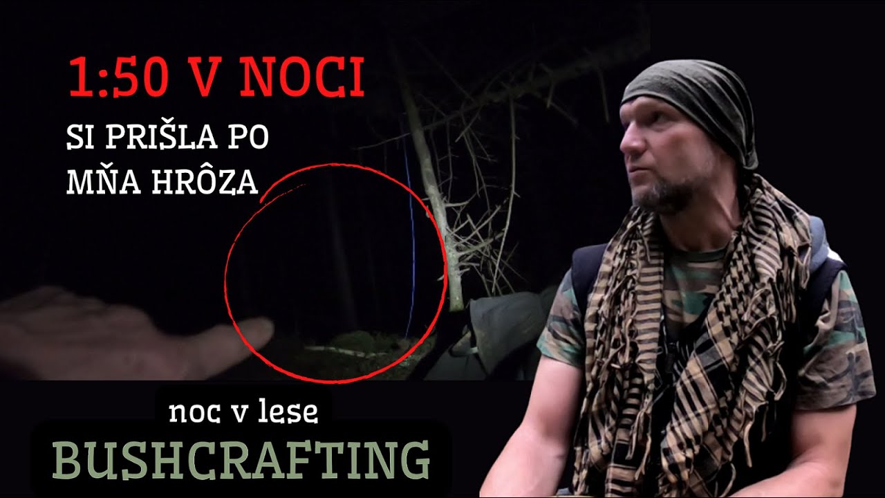 HOROROVÁ NOC V LESE -  toto ku mne v noci prišlo, keď som spal pod stromami.