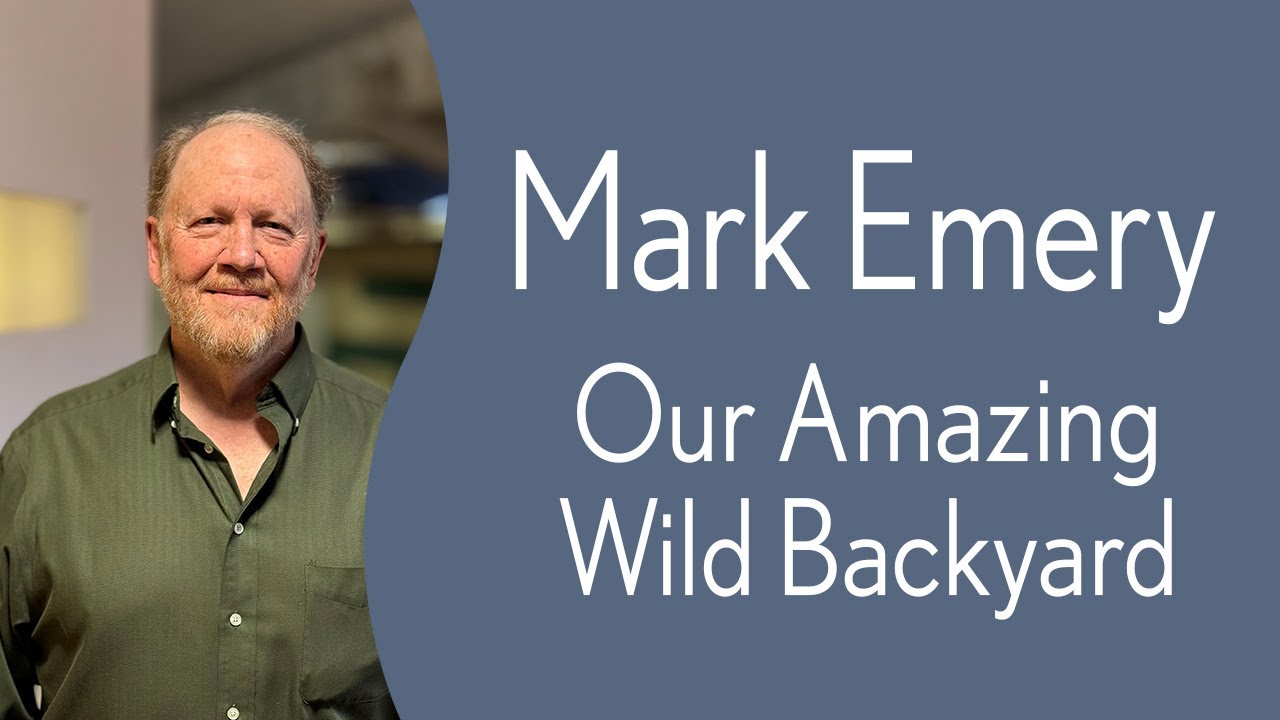 Mark Emery - Our Amazing Wild Backyard