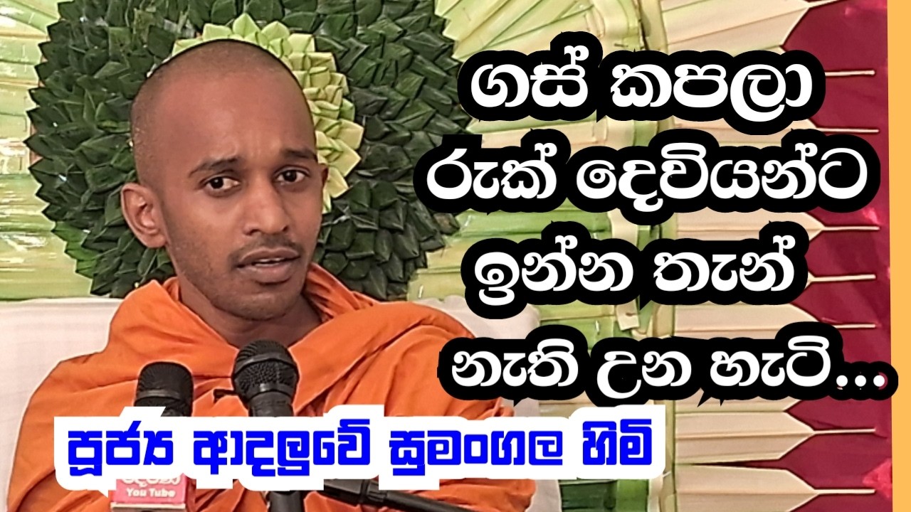 පූජ්‍ය ආදලුවේ සුමංගල හිමි..  ගස් කපලා රුක් දෙවියන්ට ඉන්න තැන් නැති උන හැටි.
