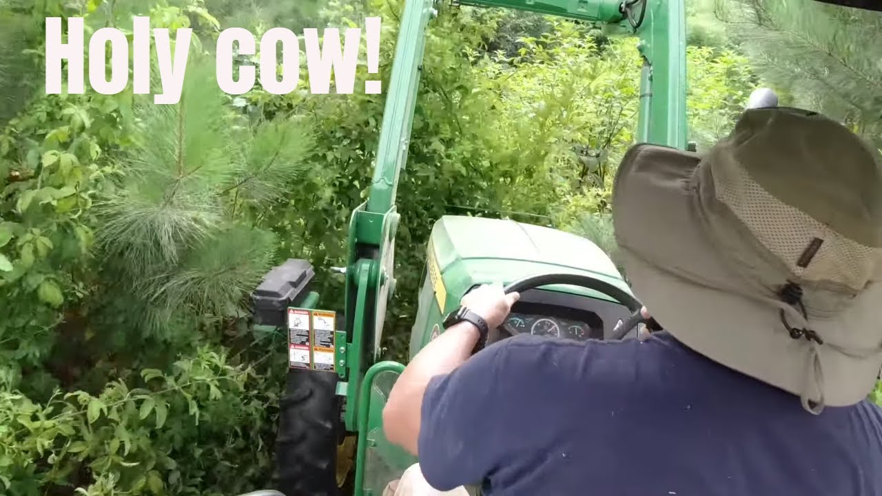 John Deere tractor bushhogging some bad stuff