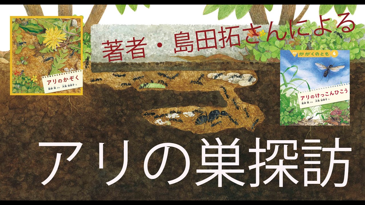島田拓さんによるアリの巣探訪