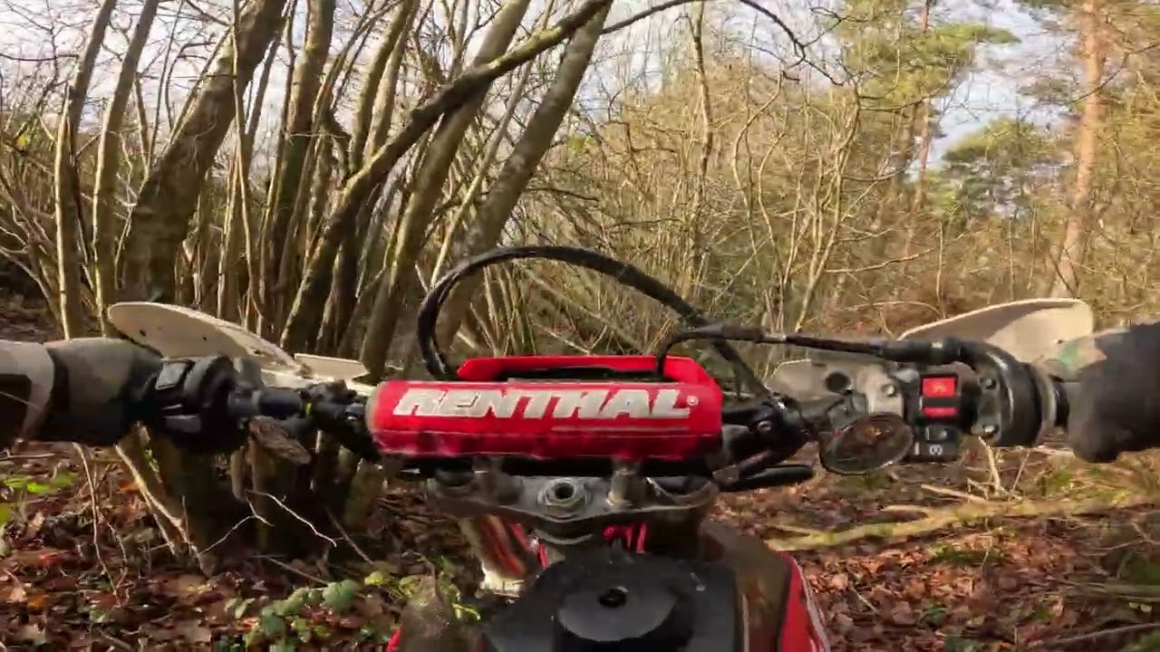 Ruts, Horses and I fall off !! 