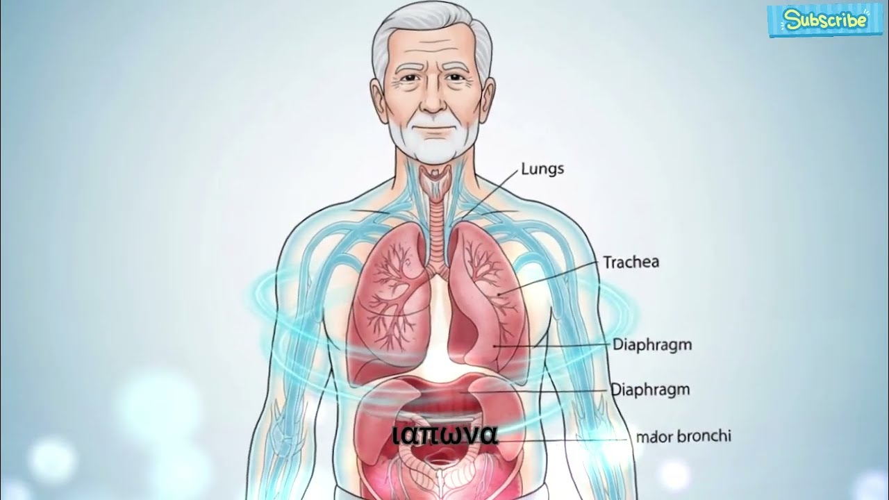 Άνω των 60; ΑΥΤΗ Η 1 διάταση είναι ΚΑΛΥΤΕΡΗ από το περπάτημα — Εγκεκριμένο από χειρουργό!