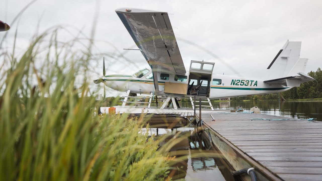 Talon Air Service - Alaska Fly Out Bear Viewing - Kenai Peninsula