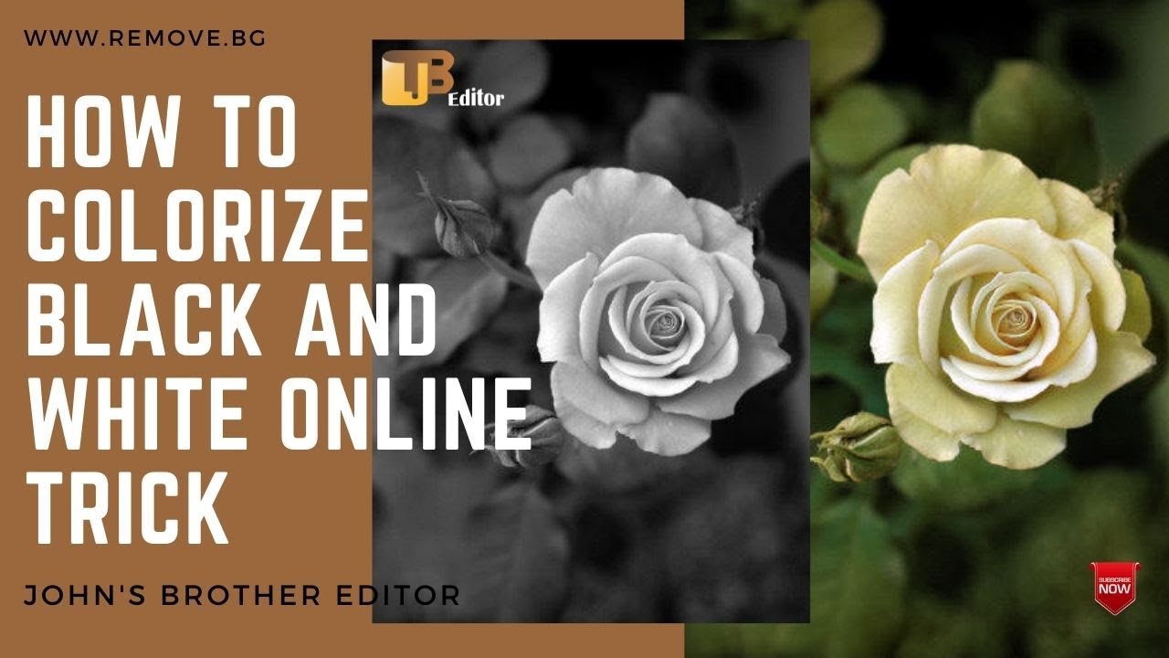 how to colorize black and white photos Trick l john's brother editor