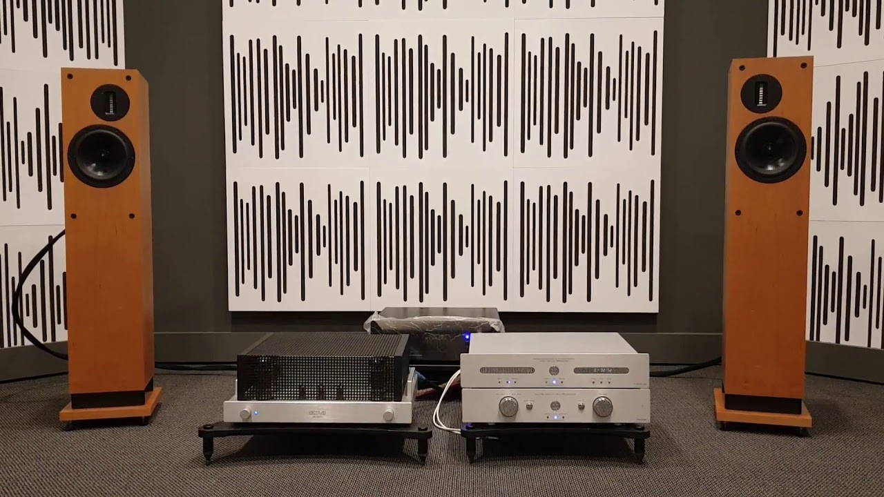 ProAc D30rs + A Art & Octave