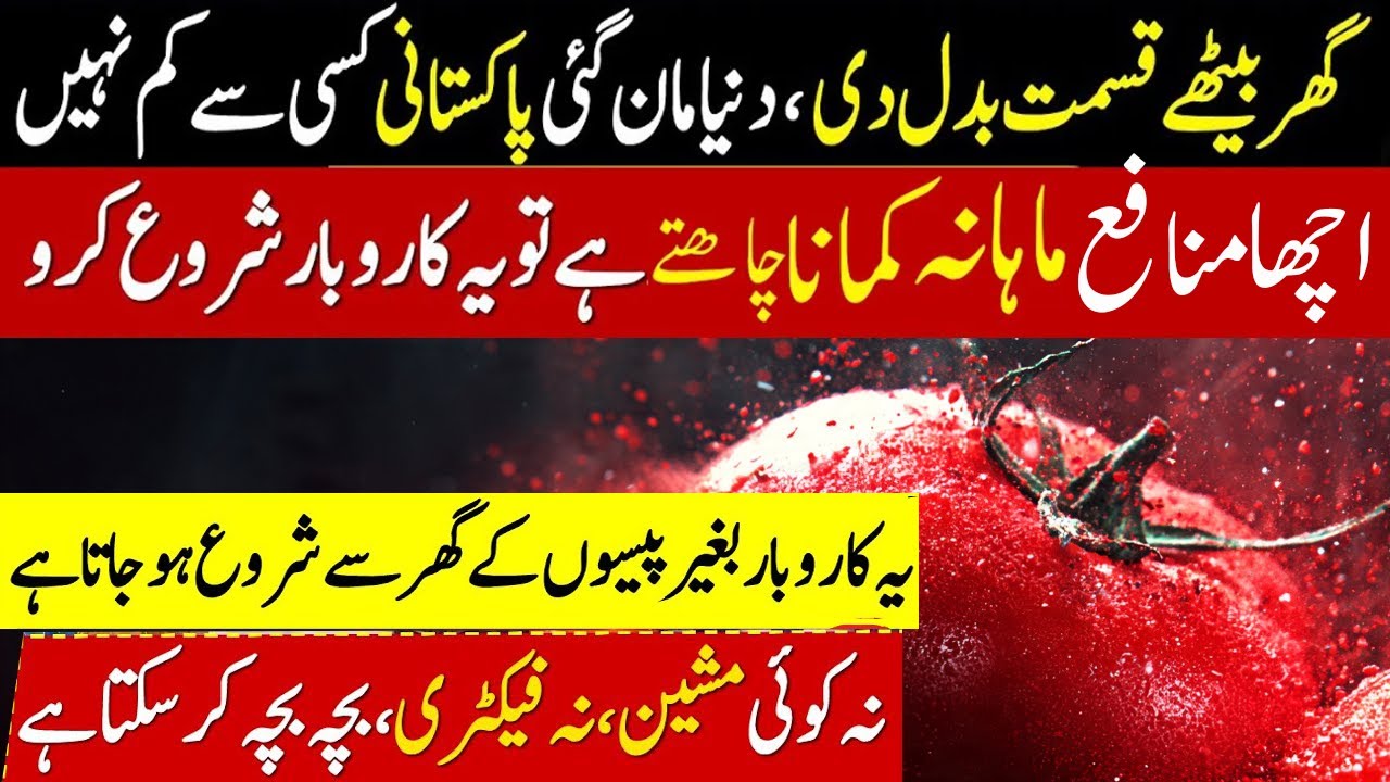 New Trending Business Idea in Pakistan 2026 | Low Investment business