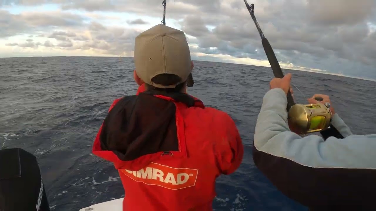 HOW TO CATCH DOLPHIN FISH THE EASY WAY