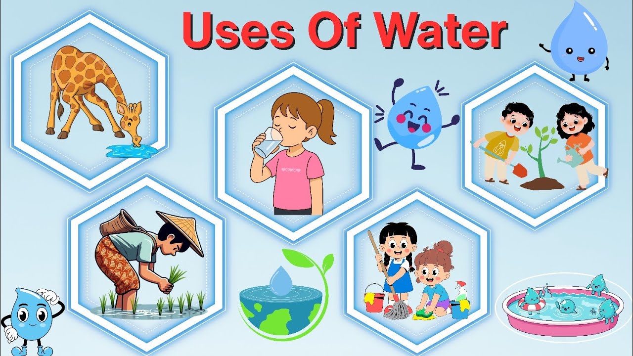 Uses of Water| Importance of water| Water and it's uses| Use of water| Uses of water for kids|#water