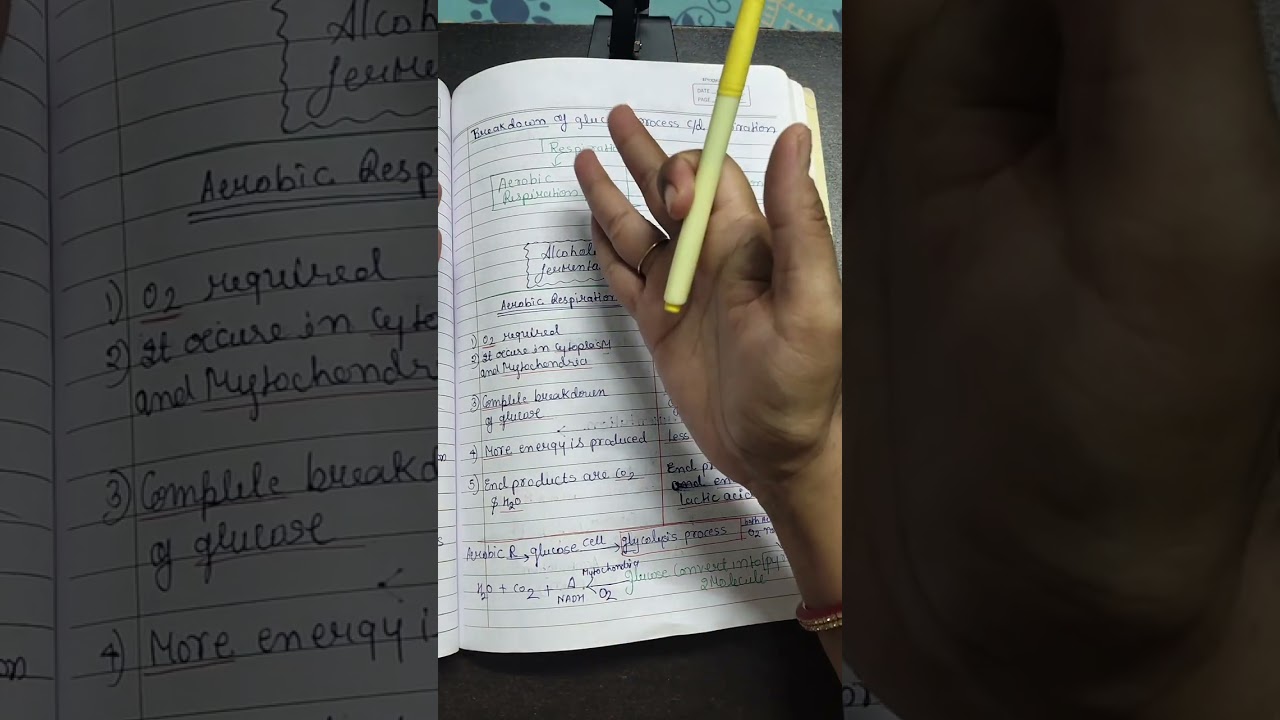 Life process part 3#topic 