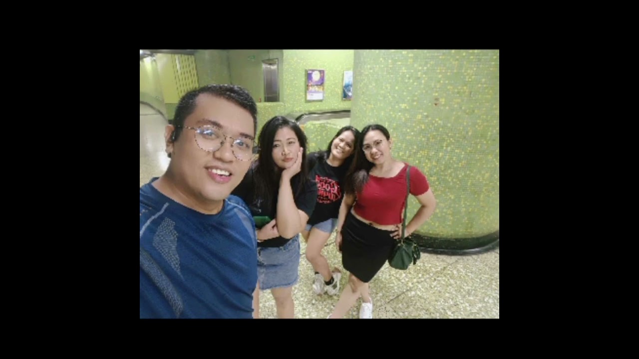 Panda 19th motmot