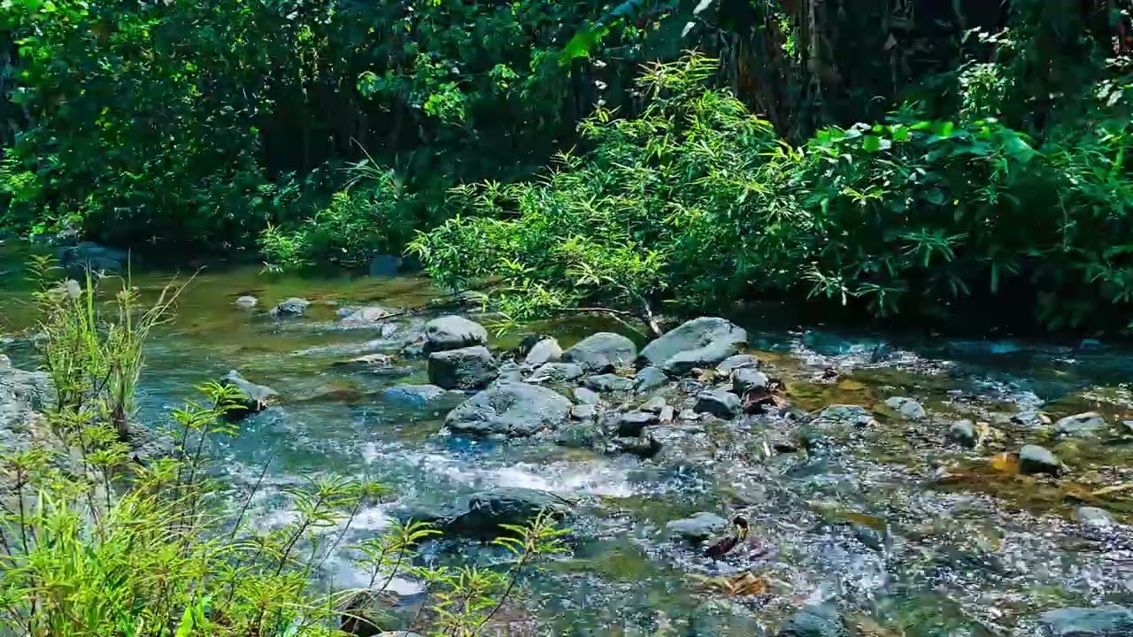 River Waterfall Sound For Relaxation, Deep Sleep, Calm, Studying #039