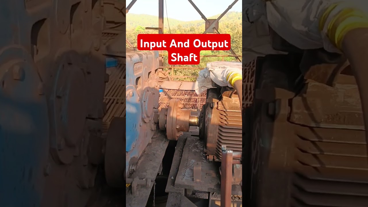 Input Shaft And Output Shaft