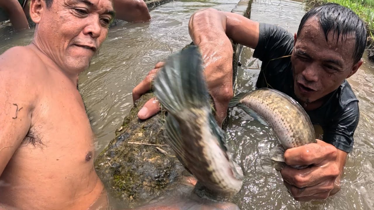 NANGAPA SA KANAL