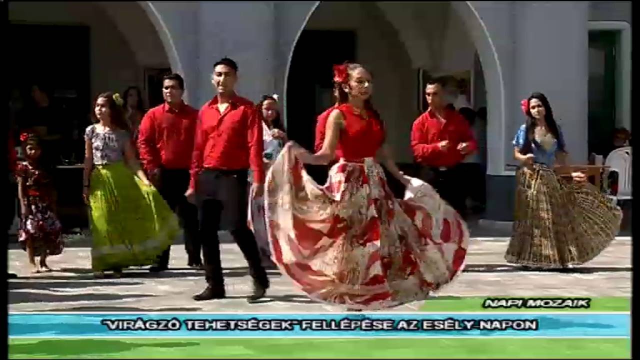 Halas Tv - Napi Mozaik - 2016. 09. 22. (csütörtök) - Kiskunhalas