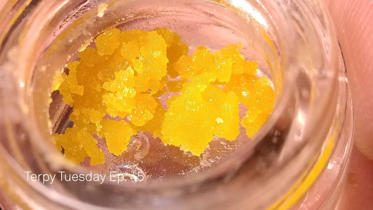 Paper Planes Extracts Whitewalker OG: Terpy Tuesday Ep. 45