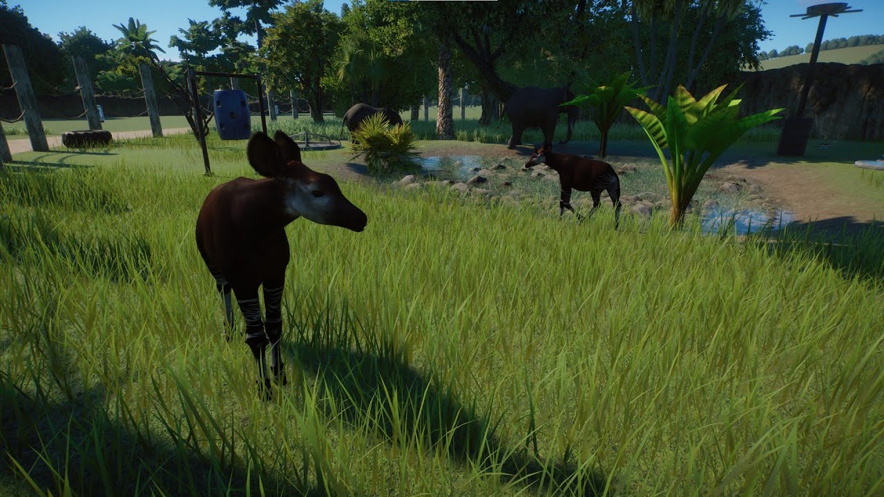 Okapi and African forest elephant habitat | Planet zoo | Badger city zoo
