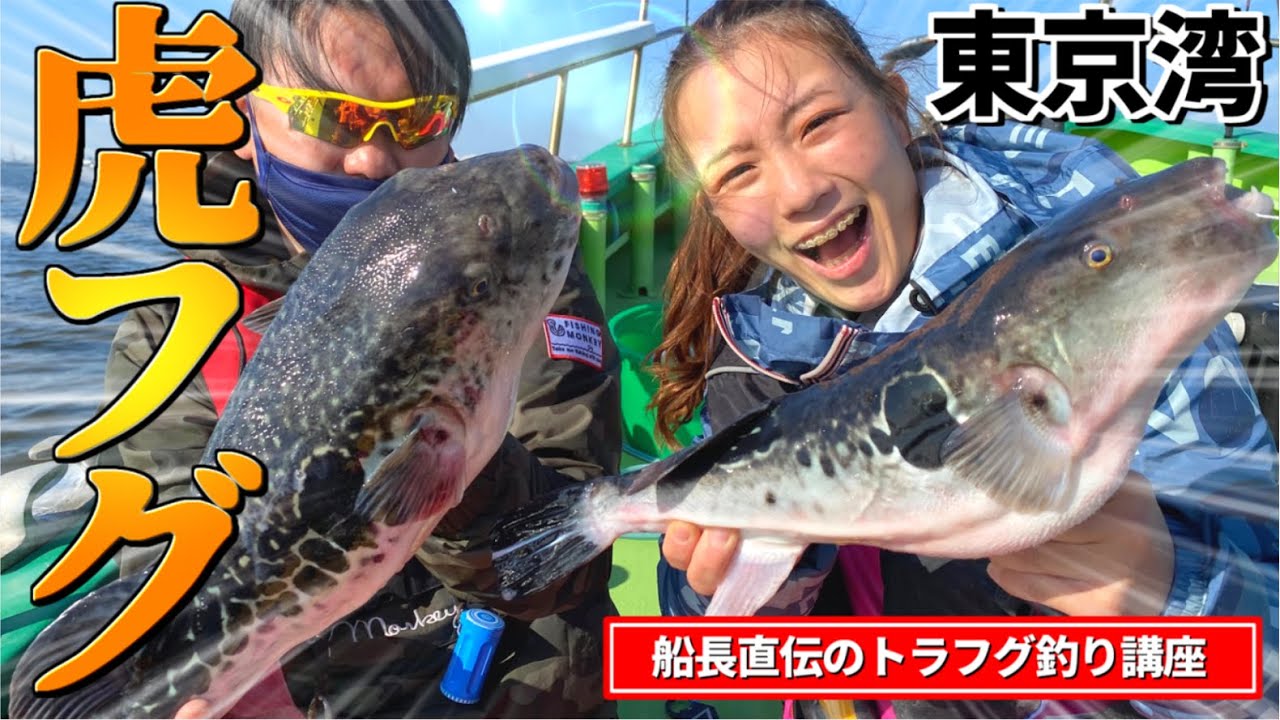 【トラフグ釣り】遂にXDAY到来⁉︎ 東京湾の天然とらふぐを狙う！仕掛け・釣り方解説有り‼︎【浦安吉野屋】 【湾フグ】【虎河豚釣り】