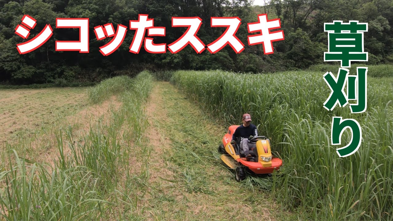 耕作放棄地の春先にシコッたススキを乗用草刈り機HeyMasaoでバリバリ切る！