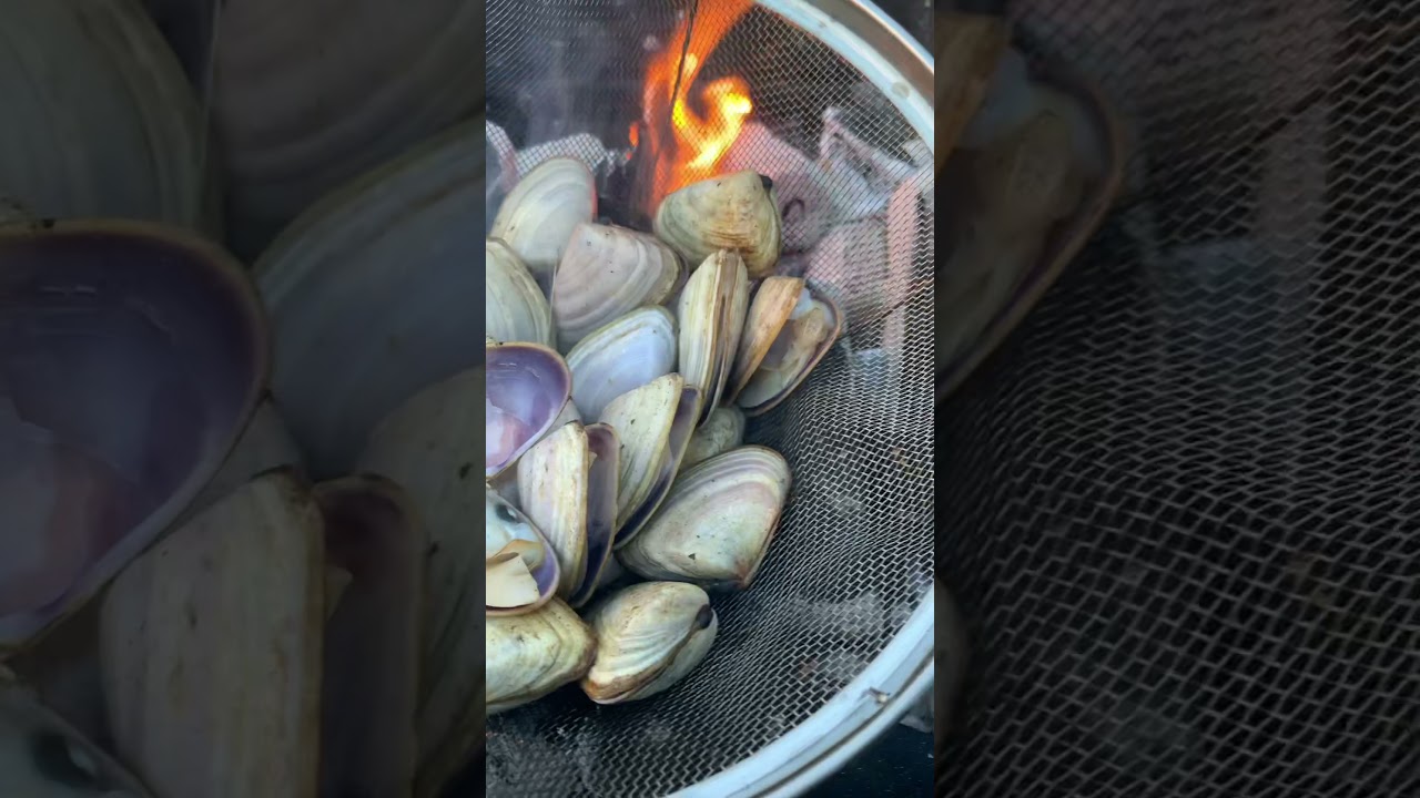 Cooking Pippies Over Fire