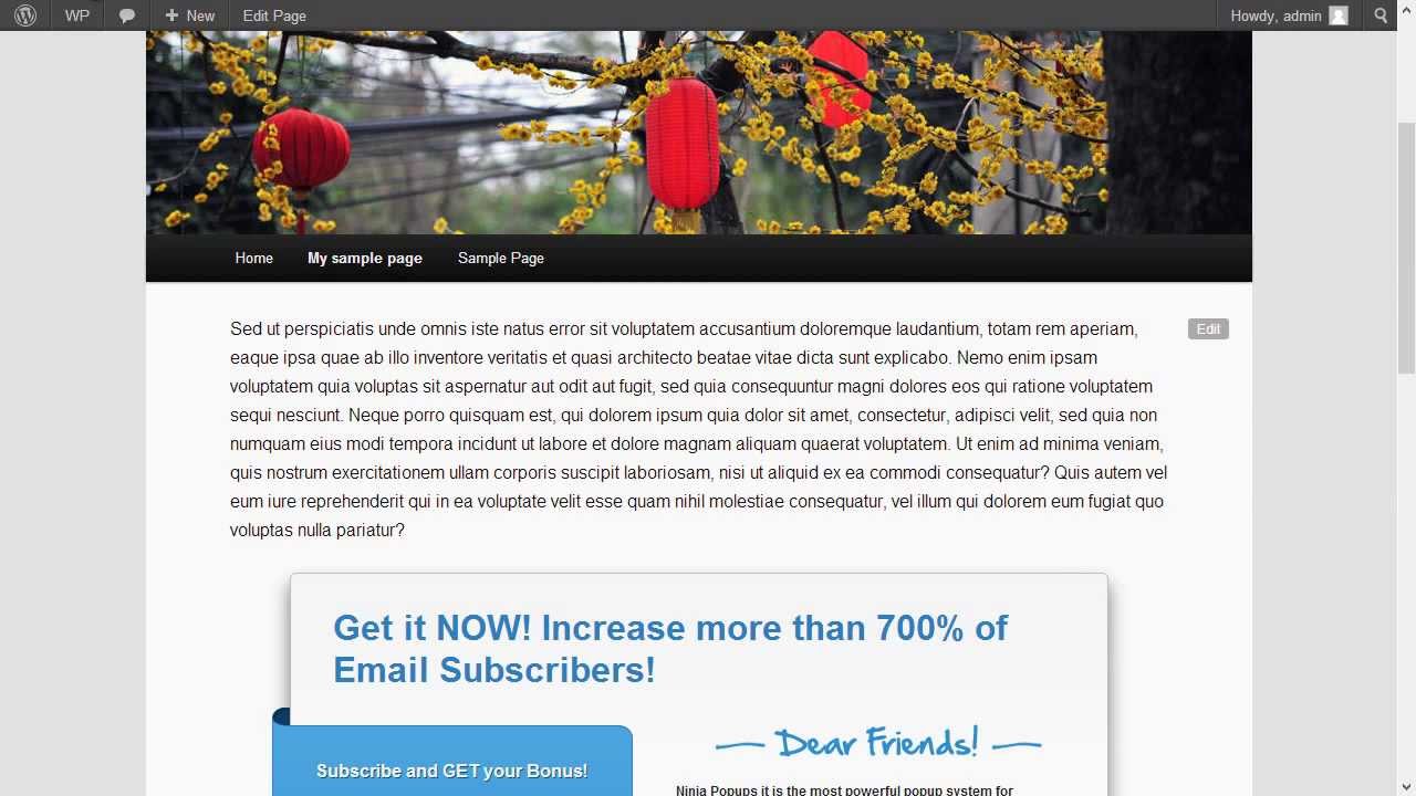 How to install and how works Ninja Widget for Wordpress