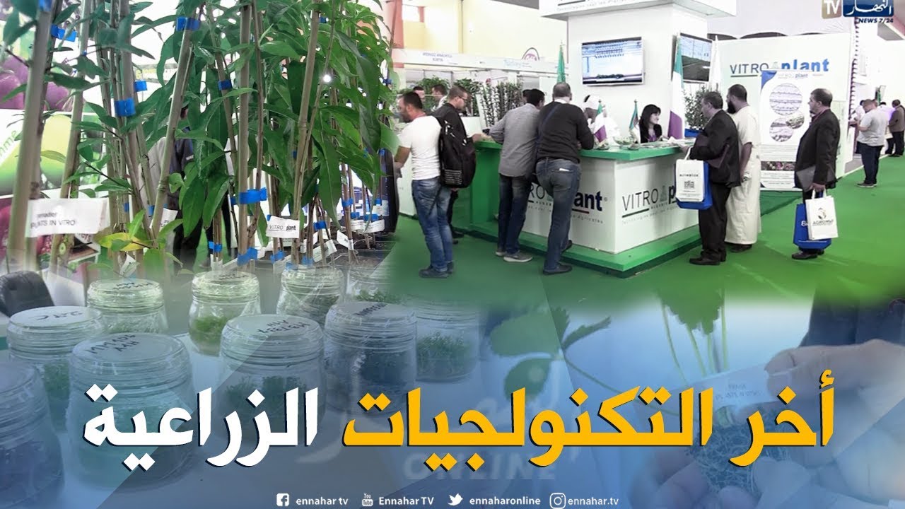 فلاحة: تكاثر الشتلات عبر الأنسجة..تكنولوجيا فلاحية إيطالية تحط بالجزائر