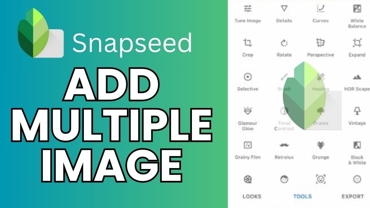 How to Add Multiple Images on Snapseed 2024?
