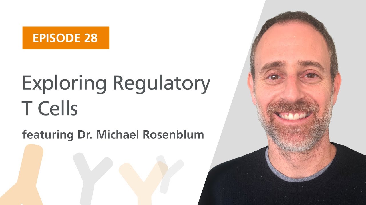 Exploring Regulatory T Cells featuring Dr. Michael Rosenblum | The Immunology Podcast