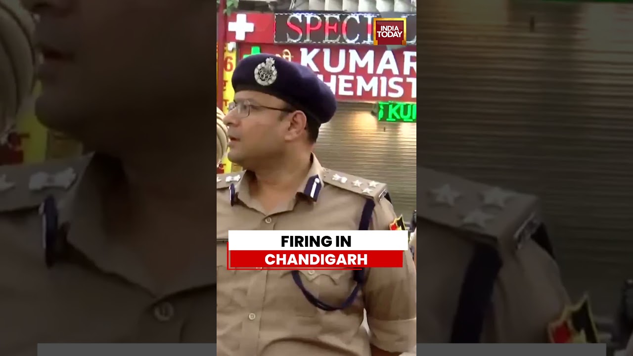 Chandigarh Firing: Man Shot Dead in Chandigarh Shop Firing Incident | Chandigarh's Sector 11