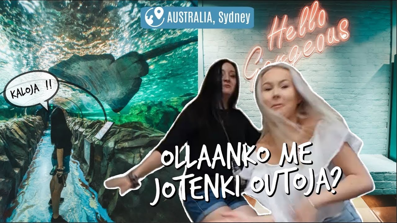 Pelleillään Sydneyn SeaLifessa🦈 » T I N K E w/Mandimai